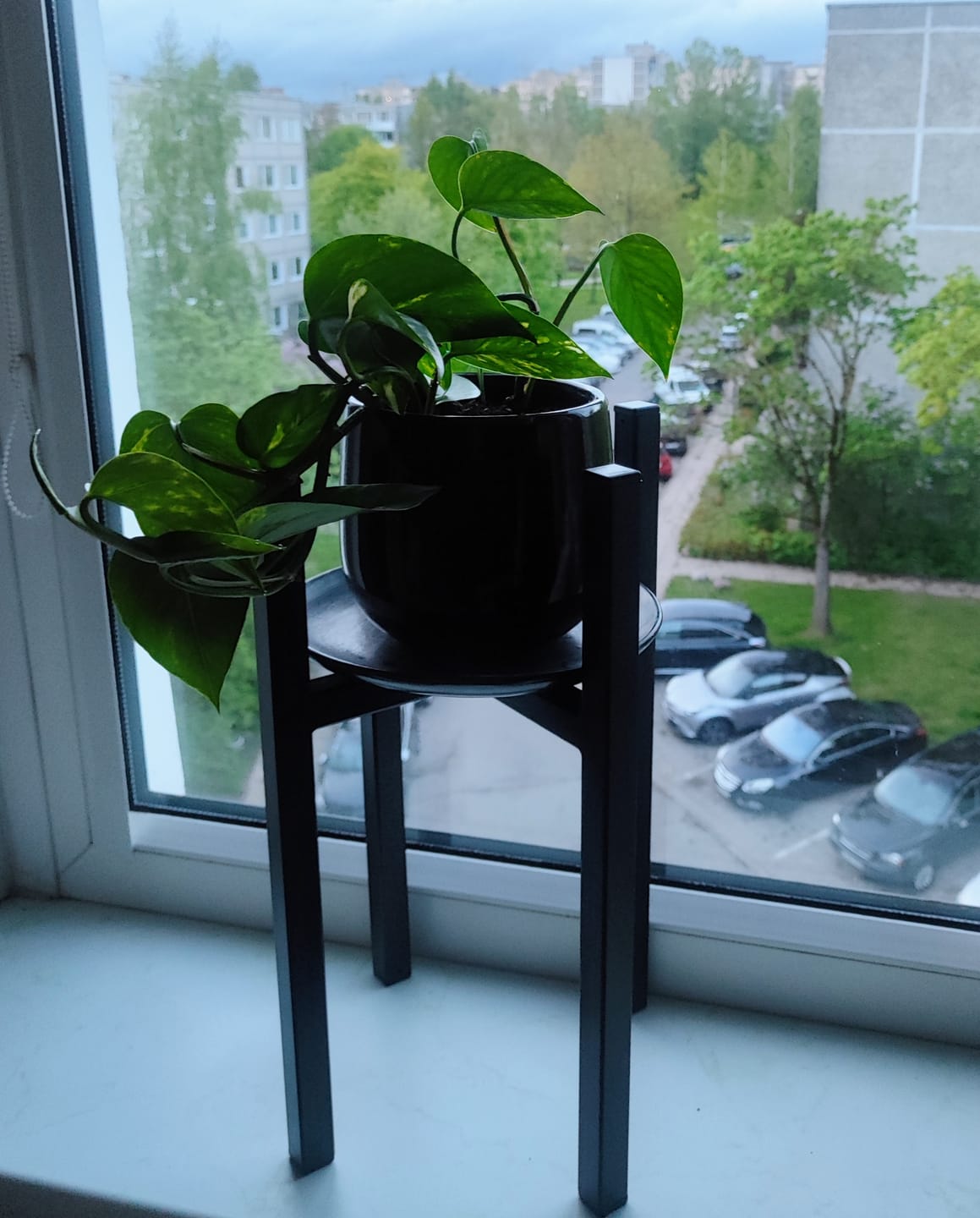 Customer photo review of Vazonų stovas GELA