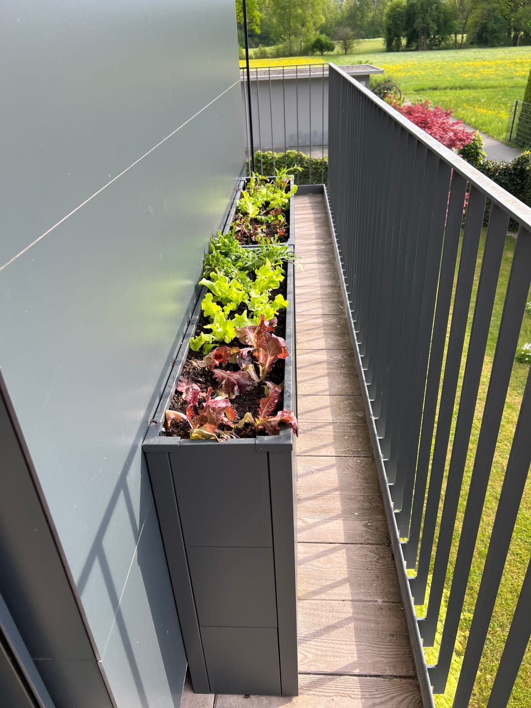 Customer photo review of Hochbeet HB5 | Pulverbeschichtet in RAL7016 | 100x25x77 cm