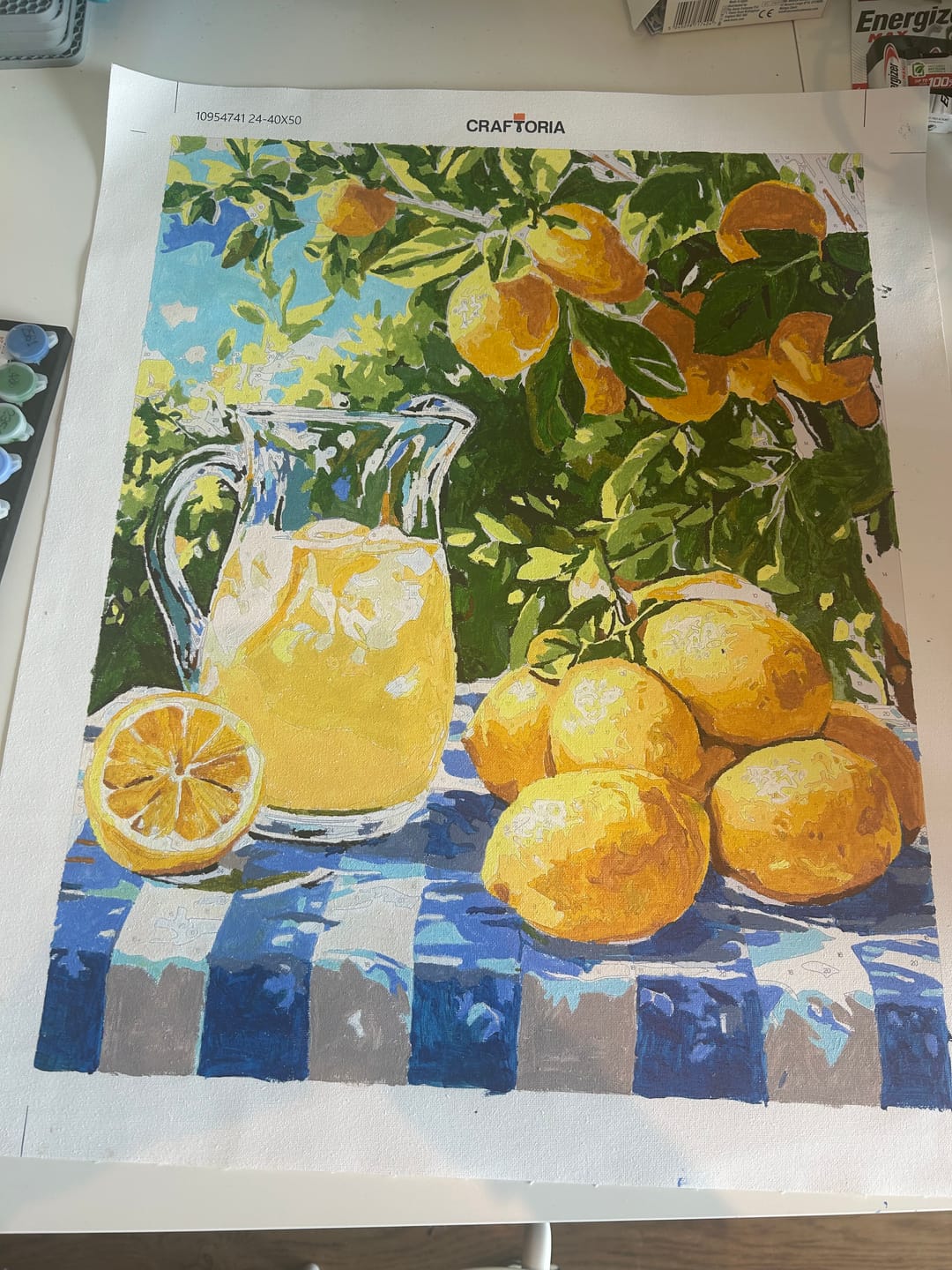 Customer photo review of Zesty Delight