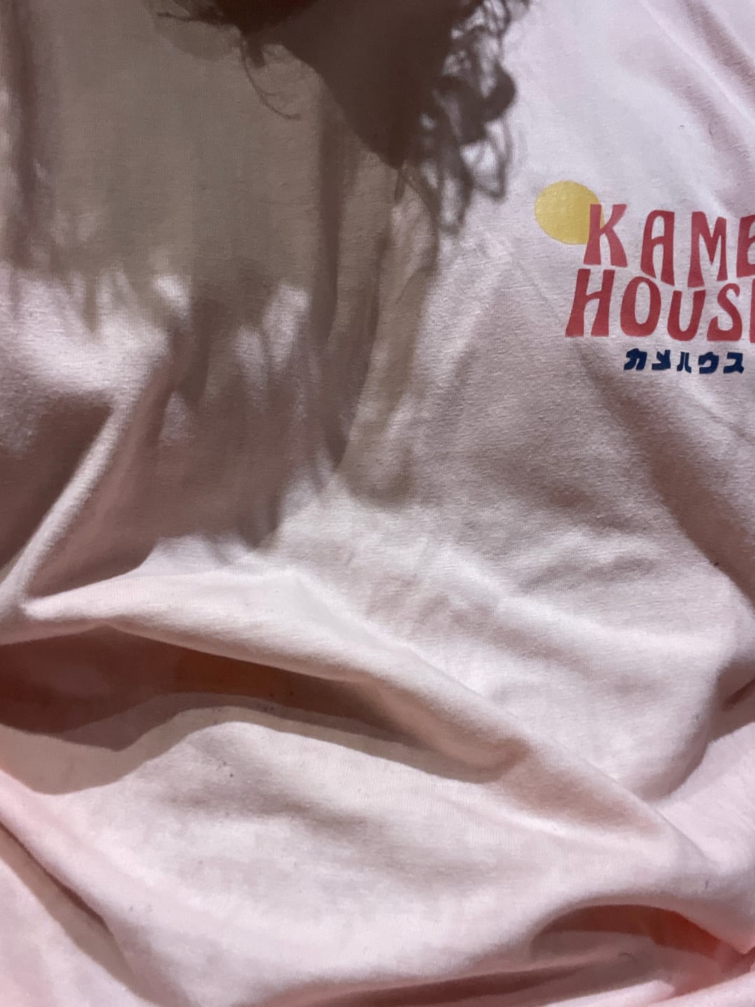 Customer photo review of Pure Cotton Dragon Ball Kame House Tshirt