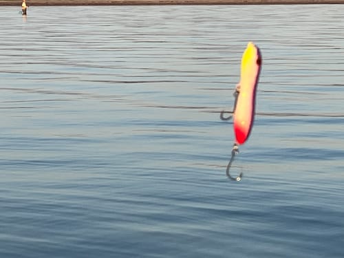 Customer photo review of Mansfield Knockers Lures
