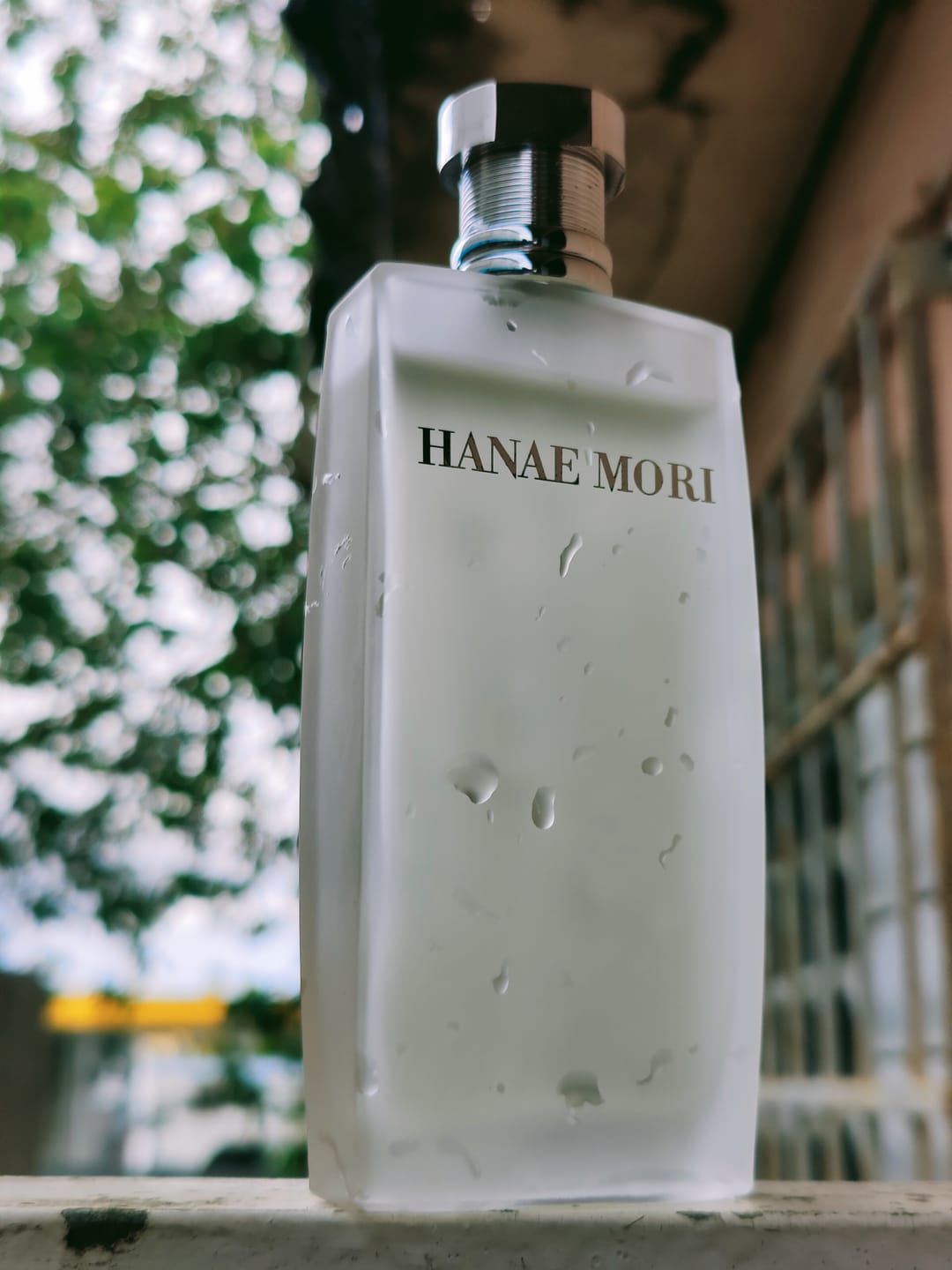 Customer photo review of Eau de Parfum