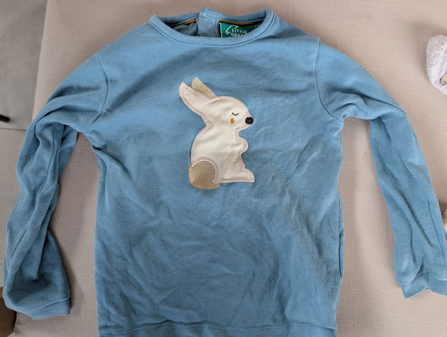 Customer photo review of Radish Rabbit Applique Long Sleeve T-Shirt