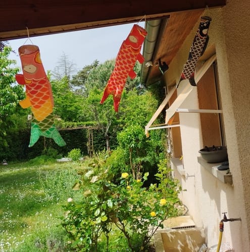 Customer photo review of Koinobori Arc-en-Ciel - 70 cm