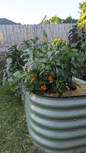 Customer photo review of 17” Tall Modular 9 in 1