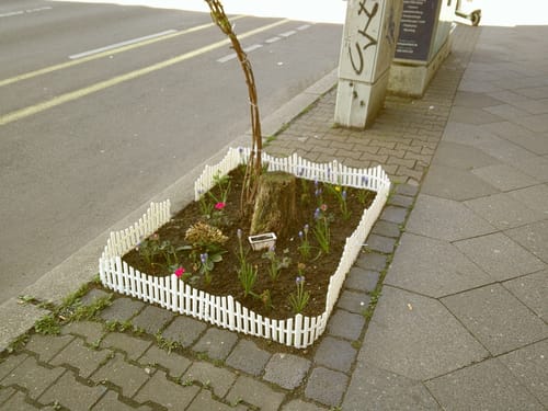 Customer photo review of NUVINT - Digitalkamera