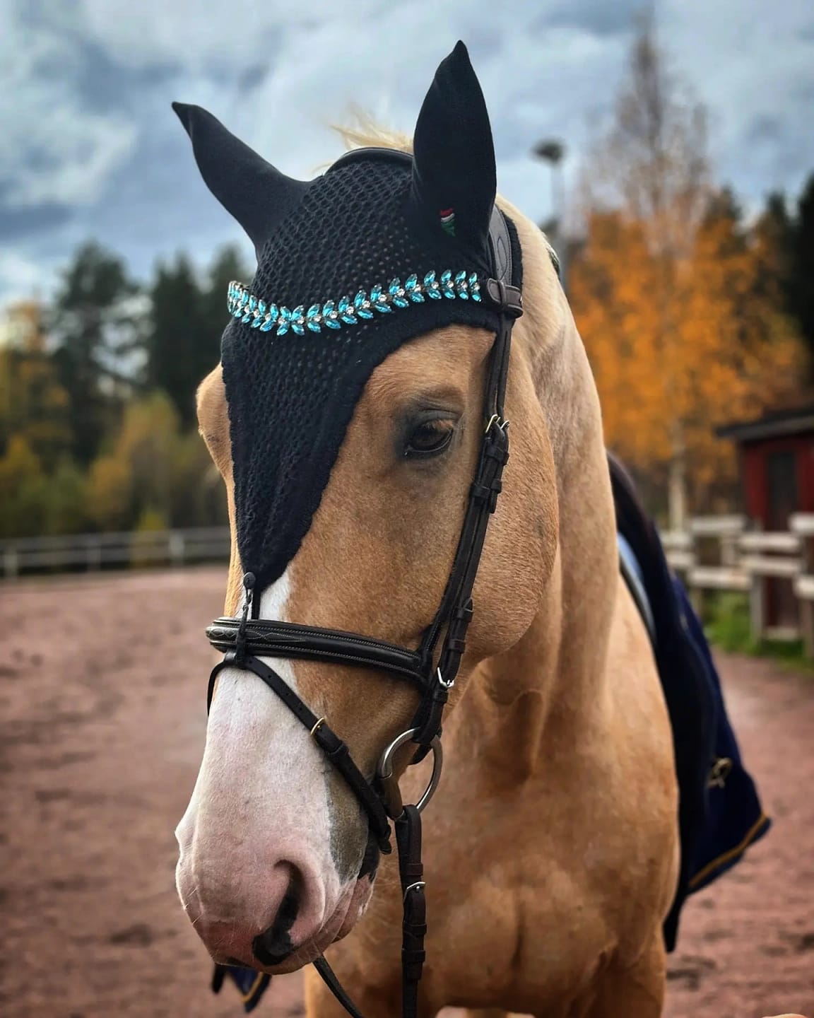 Customer photo review of Iris browband