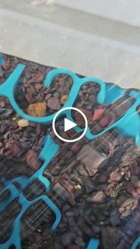 Customer video review of 1088 Gold Rat sluice - with Mini cell Dream mat
