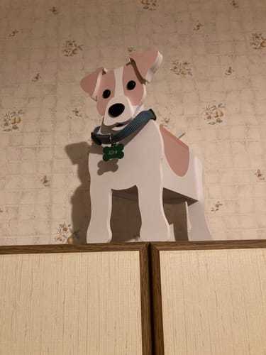 Customer photo review of Hundemarke doppelseitig personalisiert