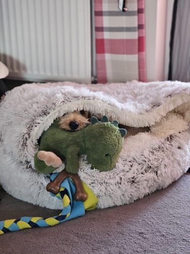 Customer photo review of Burrow Buddy™ - Pet Bed