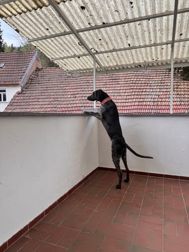 Customer photo review of Relax Time