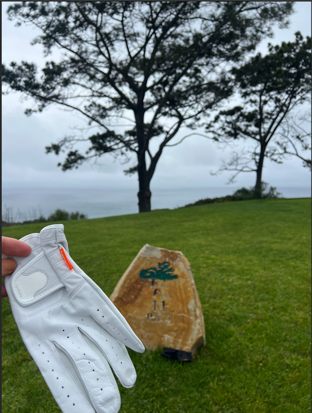 Customer photo review of TOUR TOUCH '25™