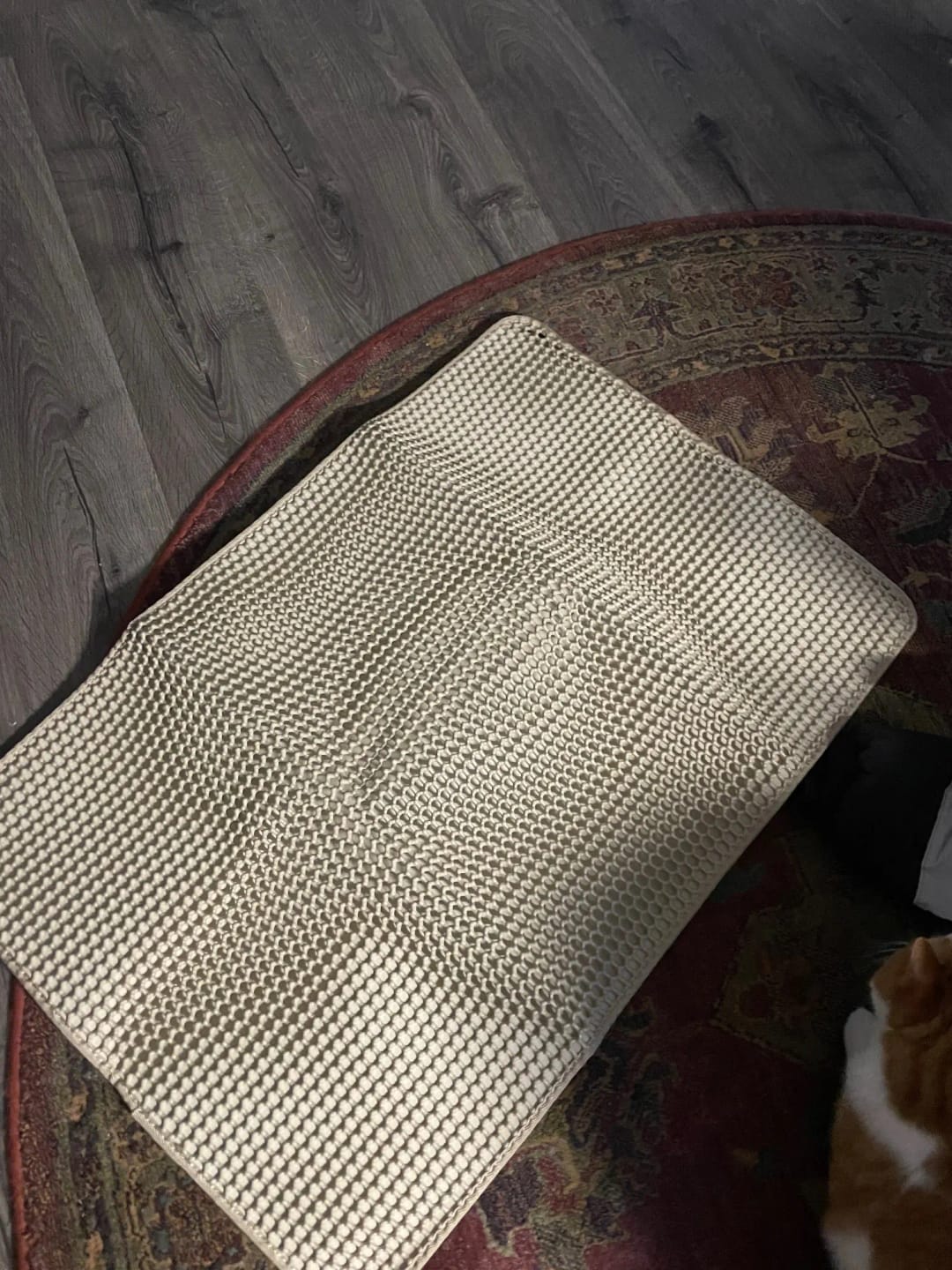Customer photo review of Large Size Cat Litter Mat Advanced Honeycomb Double Layer Design