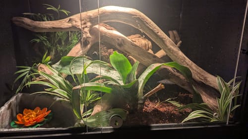 Customer photo review of XT2 BIO (24Lx18Dx18H) - STACKABLE