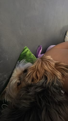 Irina E. review of Drück mich, wenn du mich vermisst - Individuelles Kissen image 1 out of 1