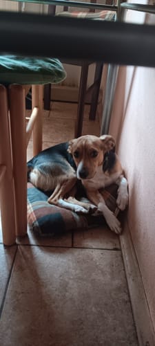 Customer photo review of Relax Time