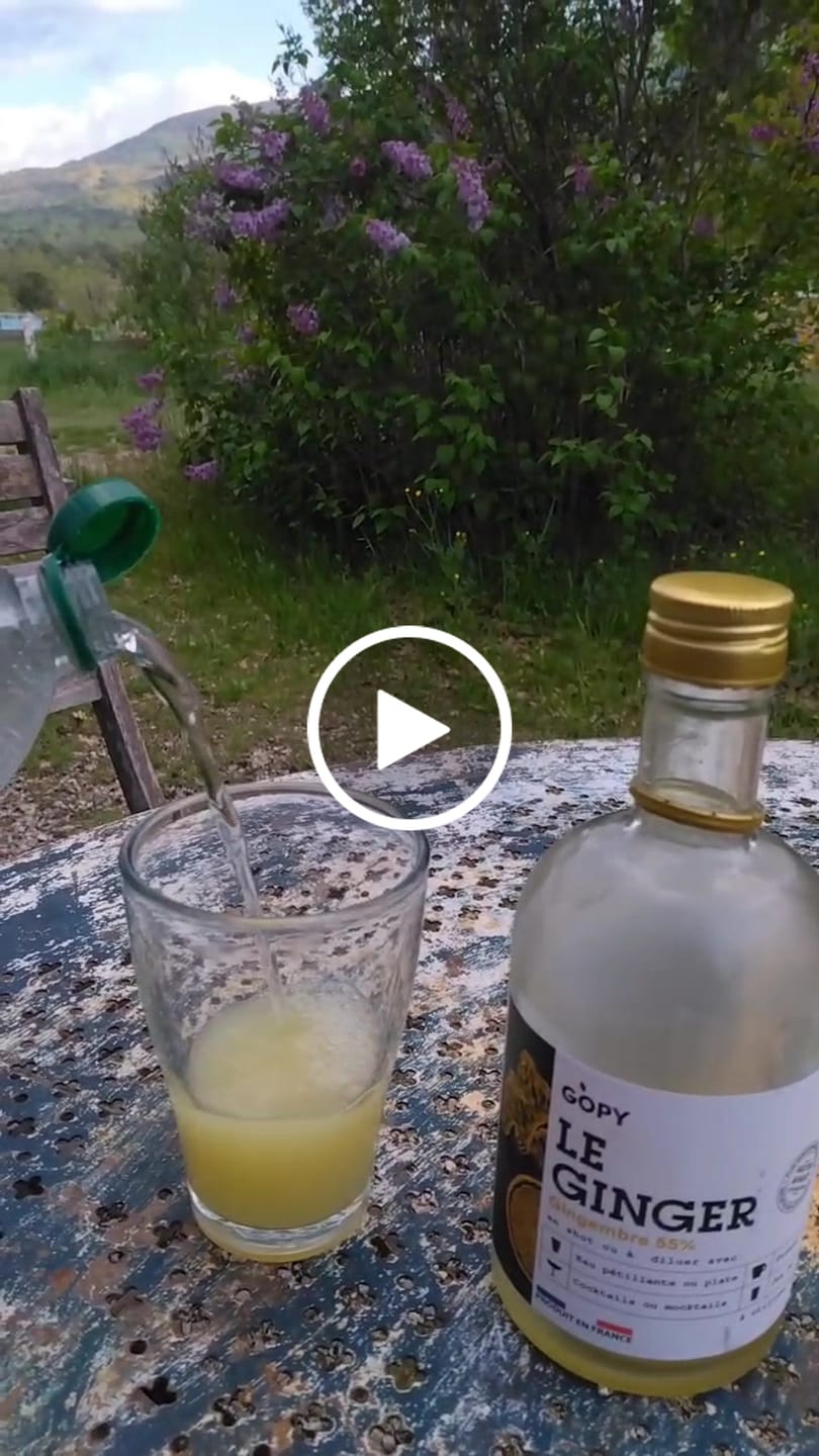Customer video review of Le Ginger Gopy Classique BIO
