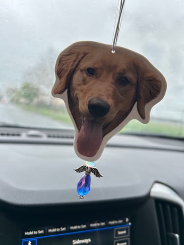 undefined review of Custom Air Freshener image 1 out of 3