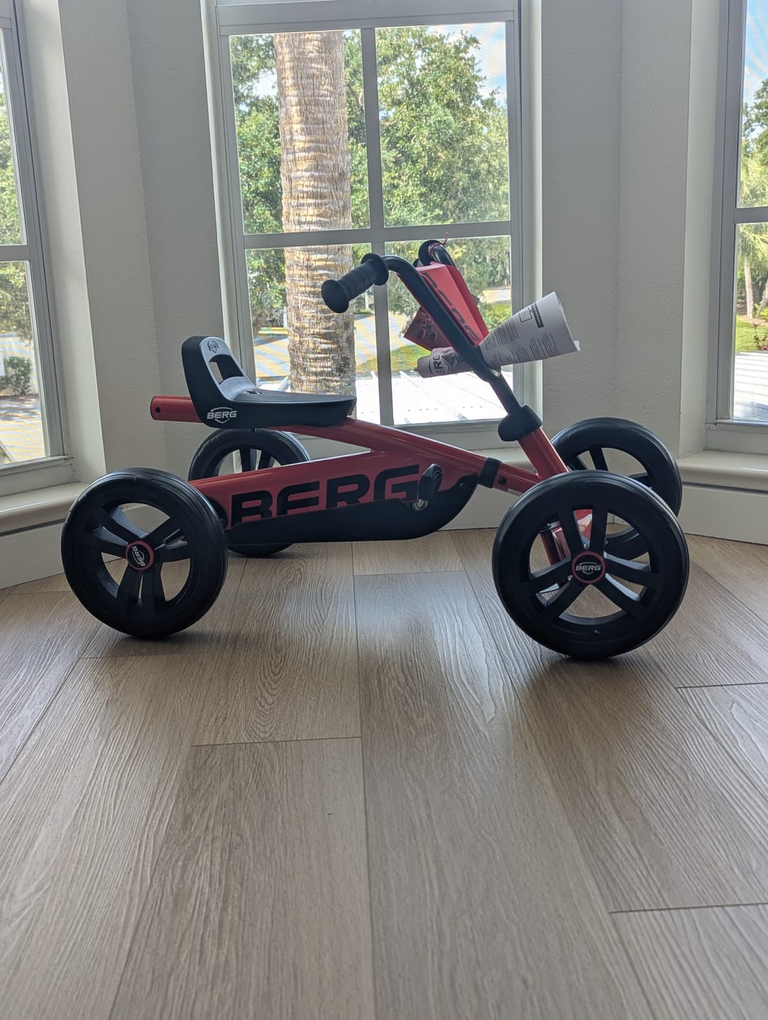 Customer photo review of BERG Buzzy
