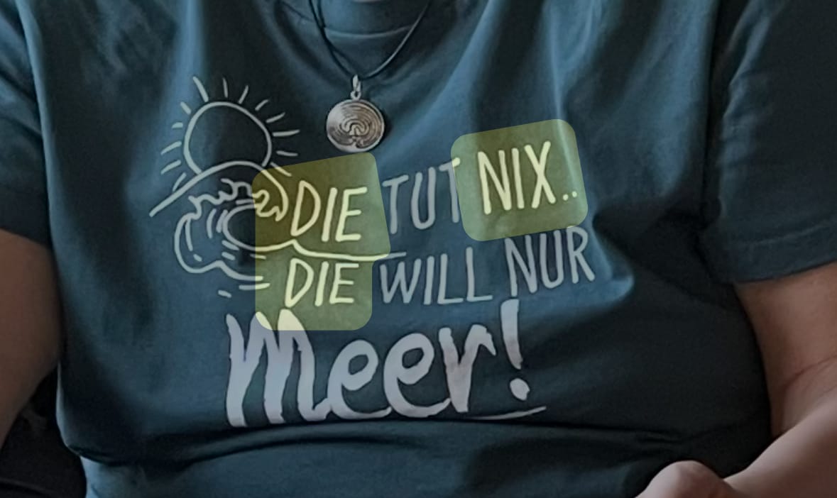 Customer photo review of Die tut nix die will Meer · Damen Premium Bio T-Shirt 2.0