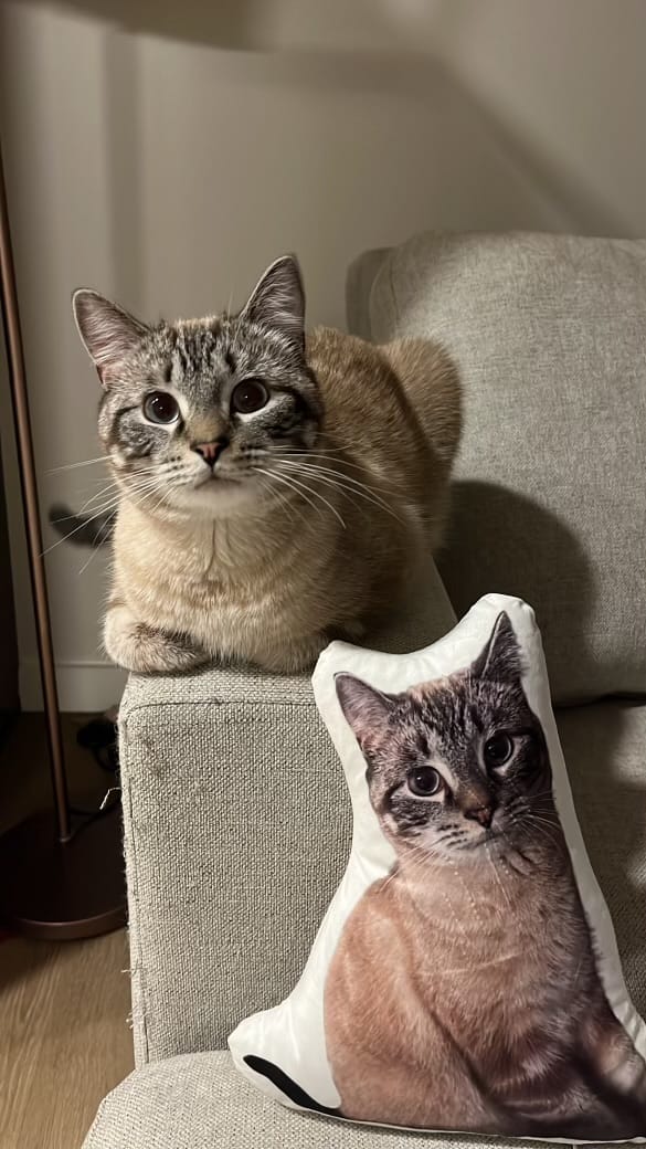 Customer photo review of Custom Dog Shaped Memorial Pillow for Pet Owners from Your Pet Picture