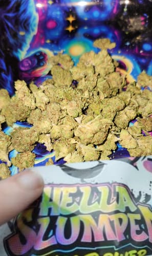 Customer photo review of Shipping Protection by Route