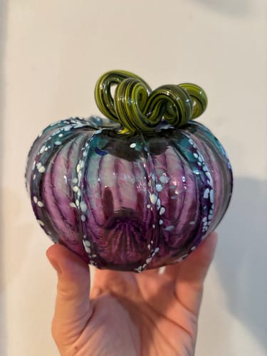 Customer photo review of Under the Sea Squat Pumpkin - Limited Run
