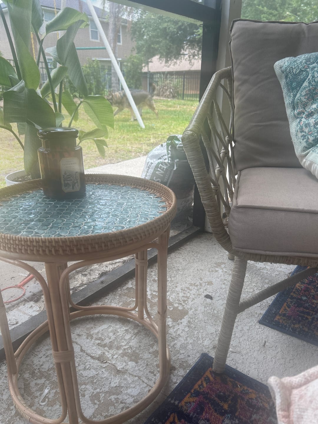 Customer photo review of Sirena Rattan Table Set