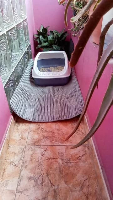 Customer photo review of Large Size Cat Litter Mat Advanced Honeycomb Double Layer Design