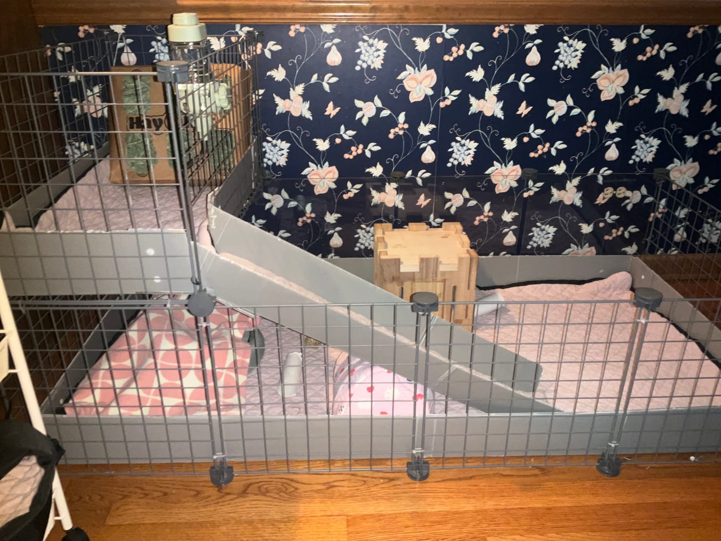 Customer photo review of Guinea Pig Wooden Castle Hidey