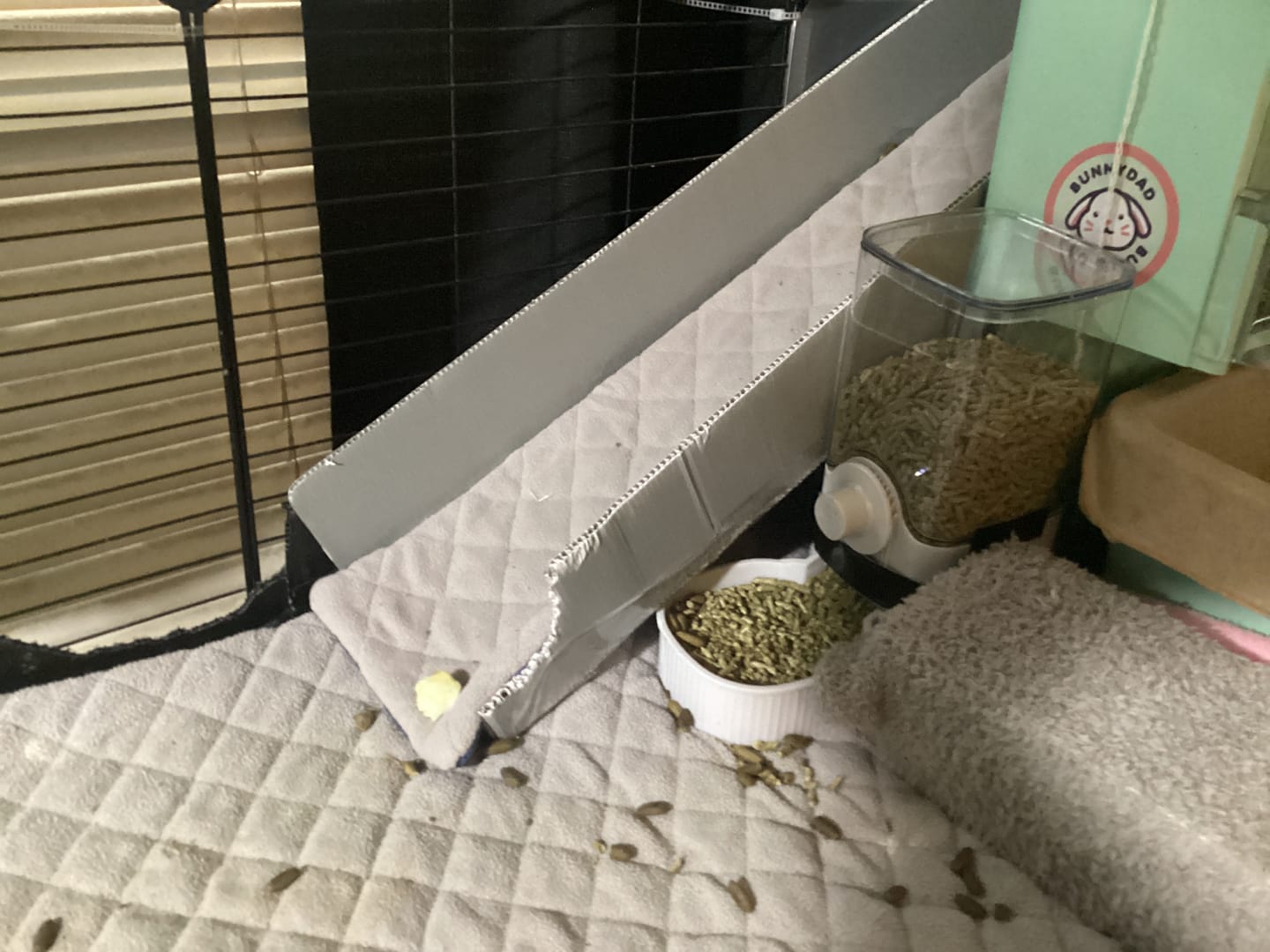 Customer photo review of Ramp Liner