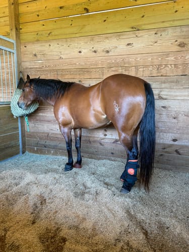 Customer photo review of Hay Chix® Half Bale Net