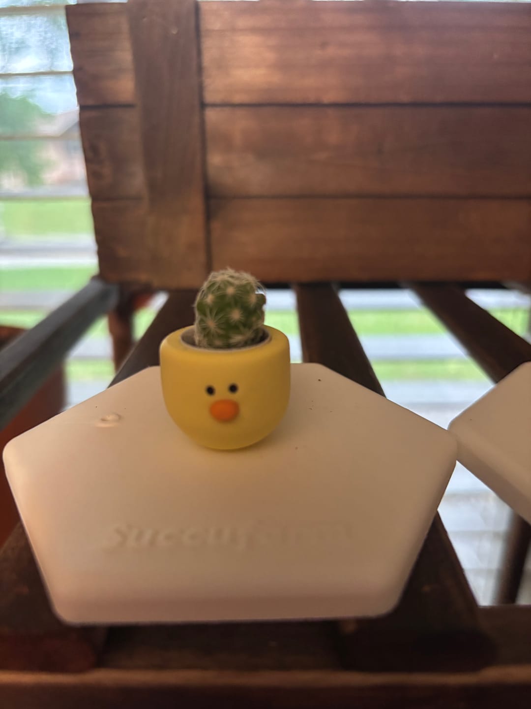 Customer photo review of Chick Magnet