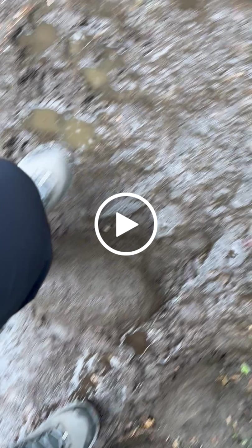 Customer video review of Walking insoles