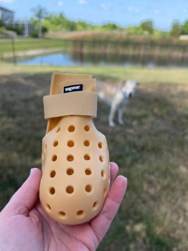 Customer photo review of WagWellies® Mojave