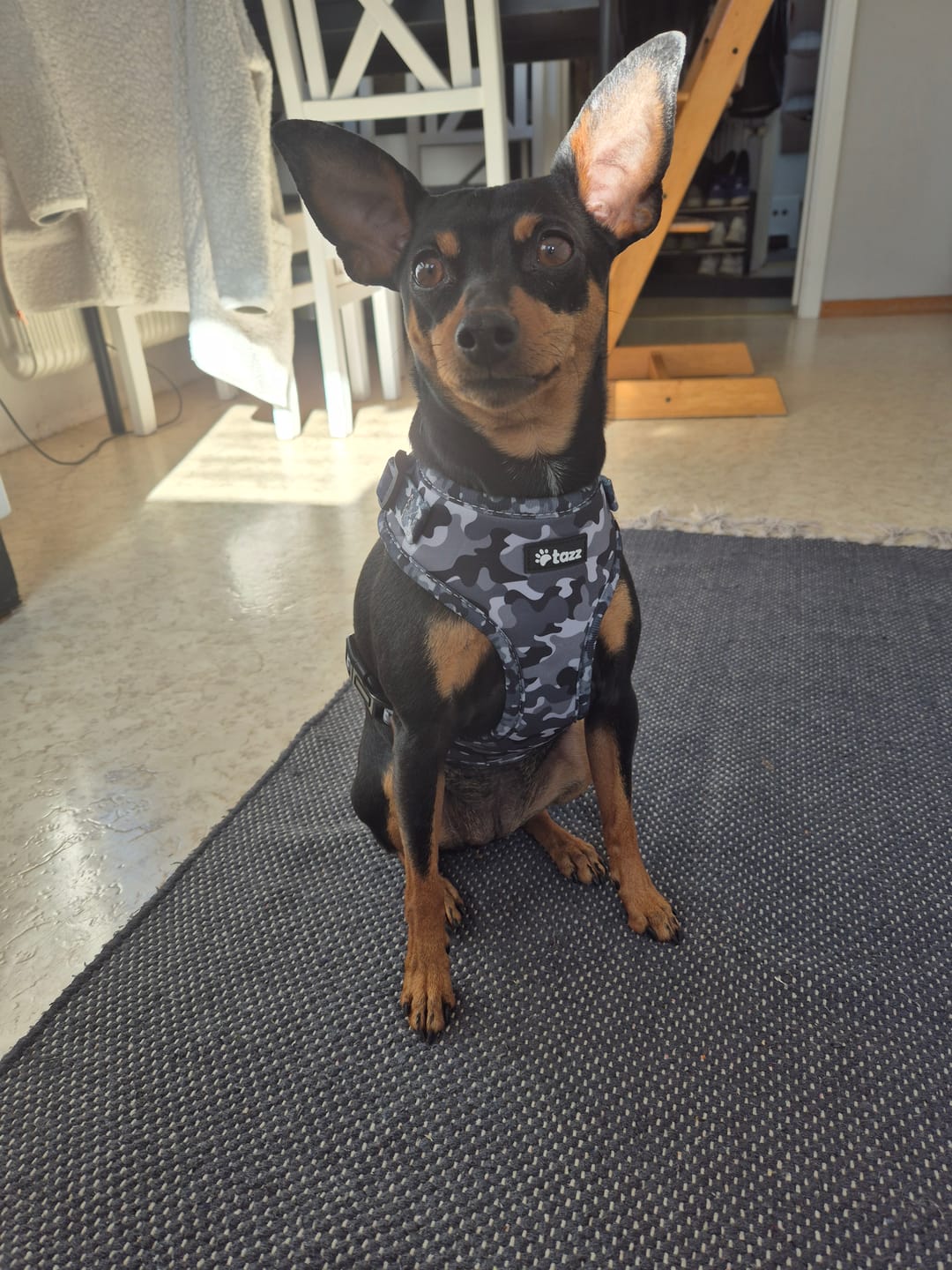 Customer photo review of Sele - Grey Camo