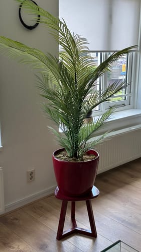 Customer photo review of Kunstpalm 150cm