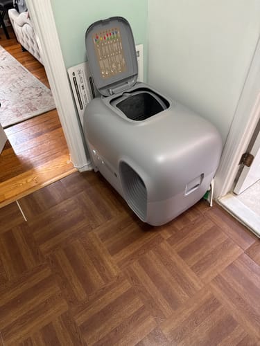 Customer photo review of Self-Cleaning Litter Box