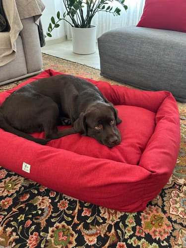 Customer photo review of Cover Mattias Rosa tenue