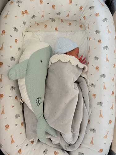 Customer photo review of Peluche Ballena Susi - ROSA