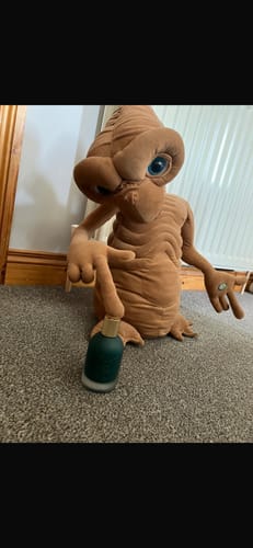 Customer photo review of Surfari