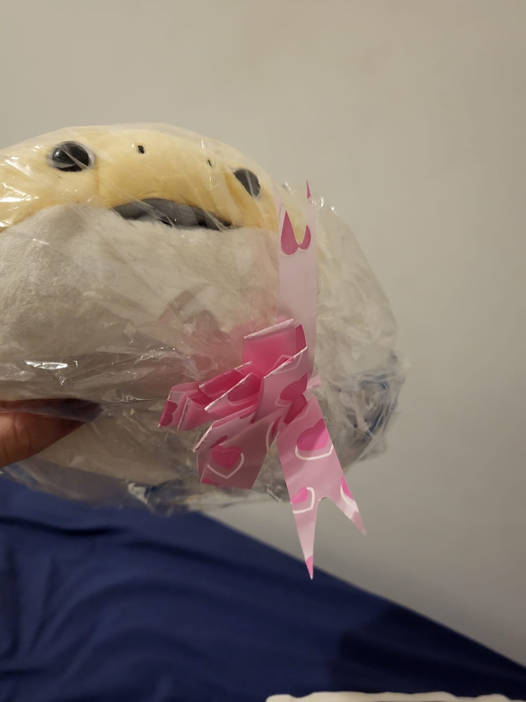 Customer photo review of Sacabambaspis Prehistoric Fish Soft Stuffed Plush Toy