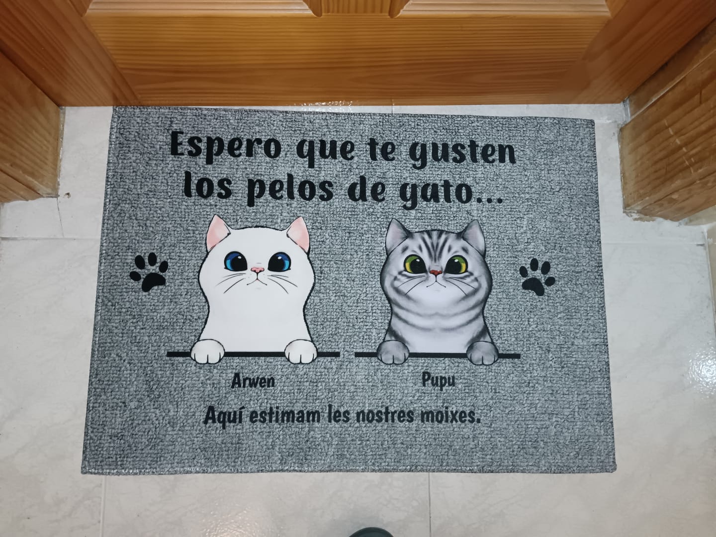 Customer photo review of Bienvenidos a lo de gatos curiosos - Felpudo personalizado