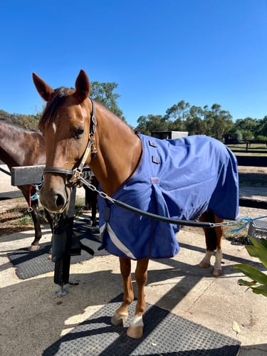 Customer photo review of LE Boxter Turnout 100g