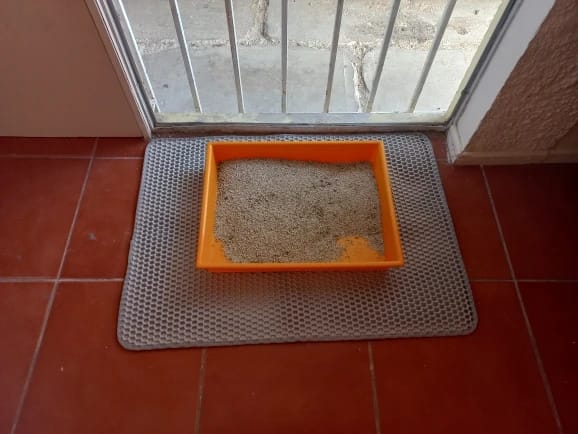 Customer photo review of Large Size Cat Litter Mat Advanced Honeycomb Double Layer Design