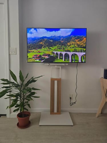 Customer photo review of Zen FT65 TV Stand