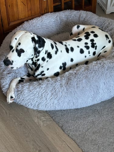 Customer photo review of CalmBed - Motverkar stress & hjälper mot ångest