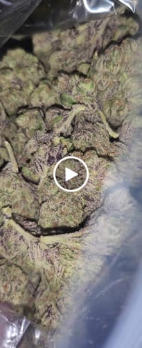 Customer video review of Larry Bird 33