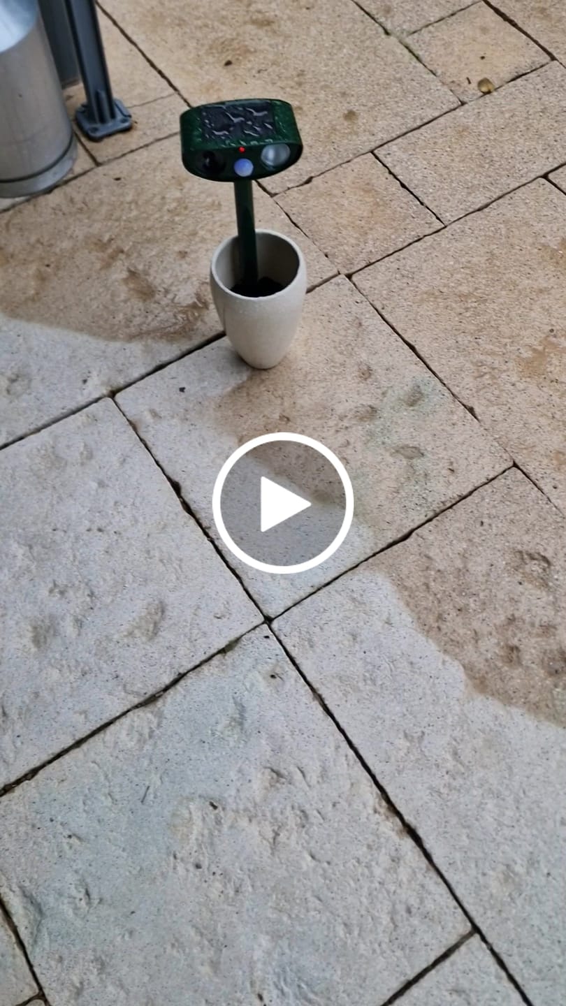 Customer video review of Répulsif d'Animaux Solaire à Ultrasons Innovant