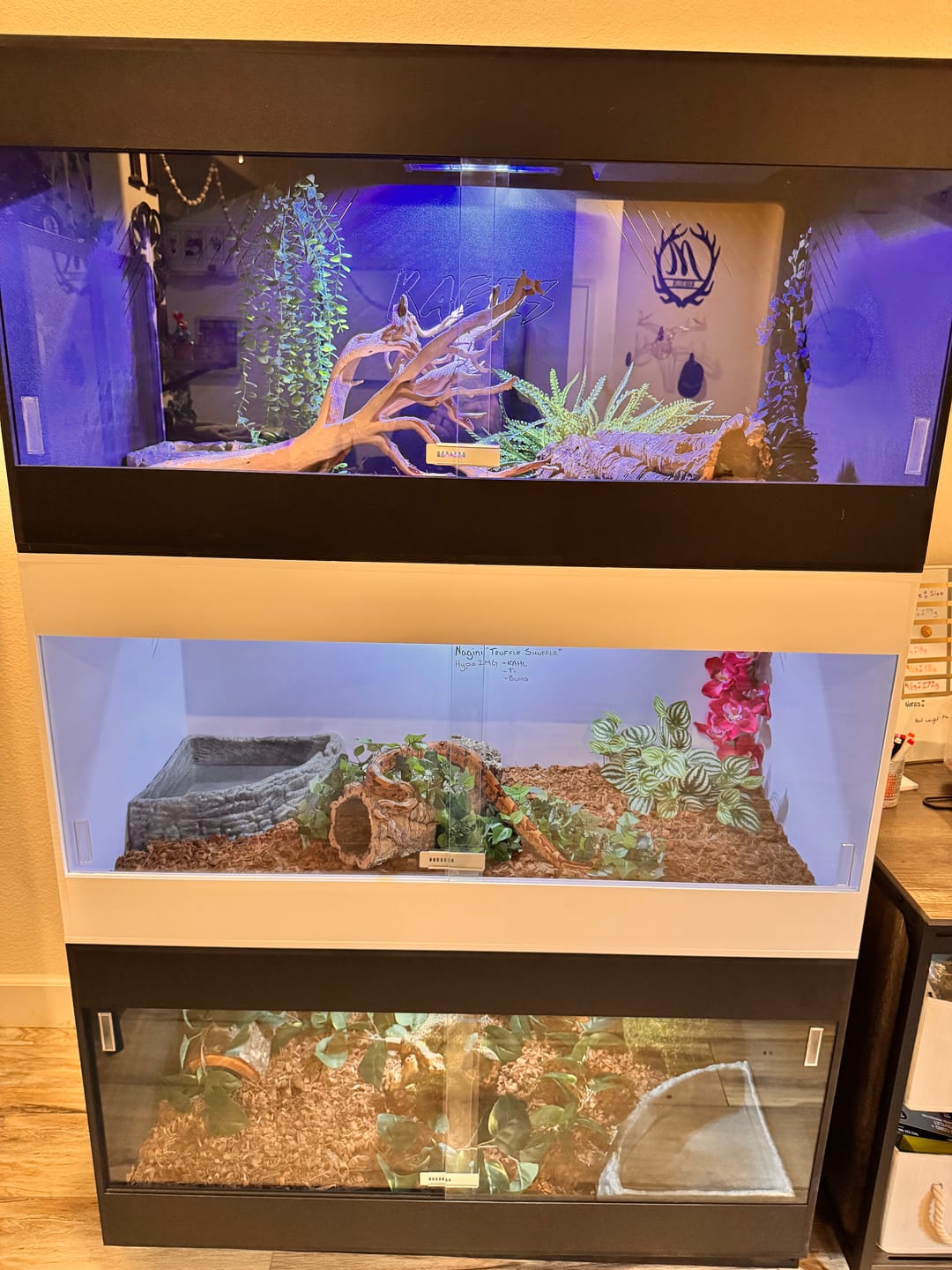 Customer photo review of 48"x24"x24" / 4'x2'x2' Premium PVC Reptile Enclosure